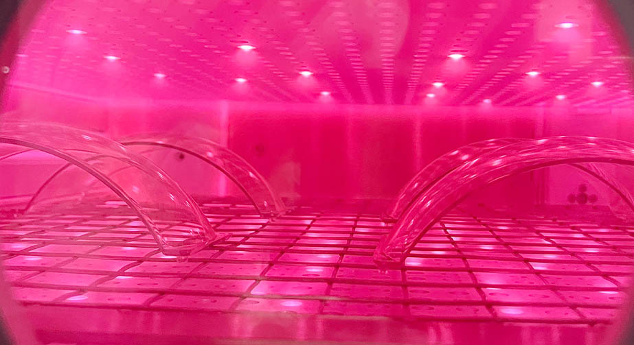 等離子處理和電暈處理的區(qū)別與聯(lián)系