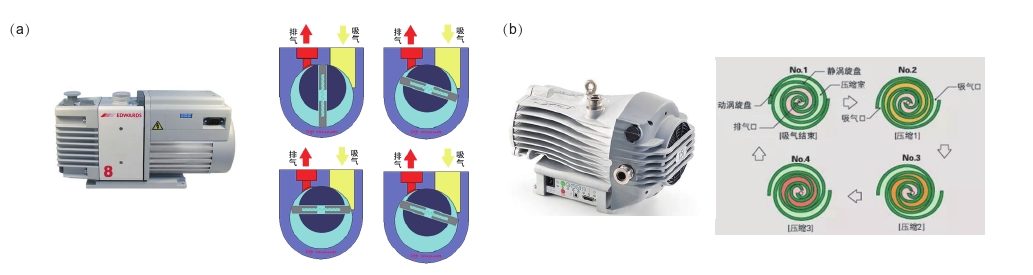 圖1真空泵及其工作原理簡介。(a)油泵實物圖及其油泵工作原理圖。(b)干泵實物圖及其工作原理圖。