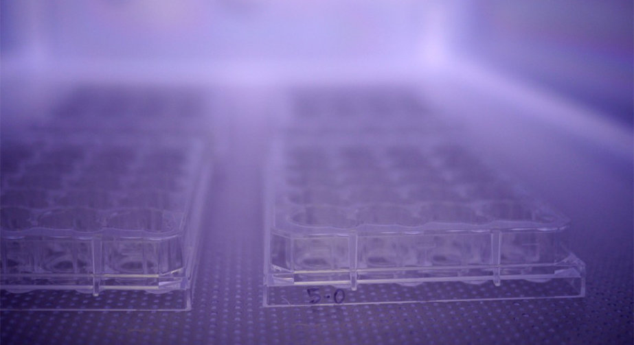 NH3氨氣等離子體處理提高PS聚本乙烯表面親水性